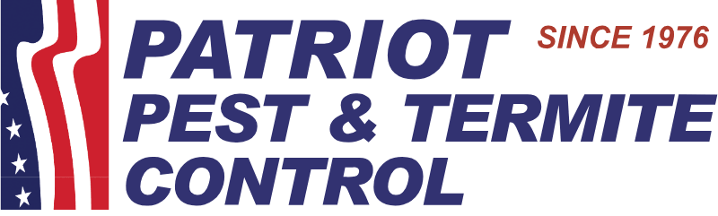 patriot